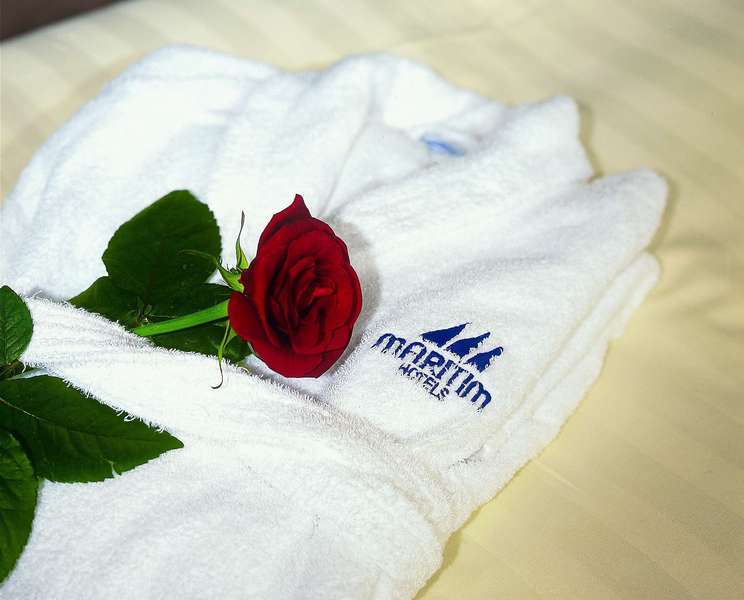 Maritim Frankfurt